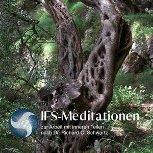 IFS-Meditationen zur Arbeit mit inneren Teilen nach Dr. Richard C. Schwartz, Richard C. Schwartz