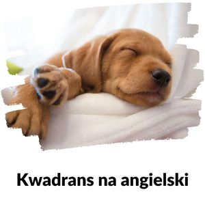 KNA: Lekcja 294 (jak spać lepiej cz. 2), Szymon Marciniak