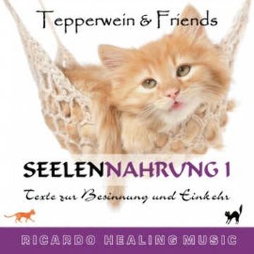 Seelennahrung 1: Texte zur Besinnung und Einkehr (Tepperwein and Friends) audiobook, N.N.
