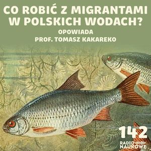 #142 Ryby nasze i obce - cisi mieszkańcy Rzeczypospolitej | prof. Tomasz Kakareko, Michał Mięsikowski, Karolina Głowacka