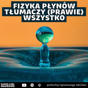 #309 Fizyka płynów – rządzi kroplą wody i wirującą galaktyką | prof. Maciej Lisicki, Karolina Głowacka