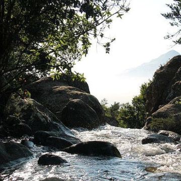 Bergbach, Maxx Audio