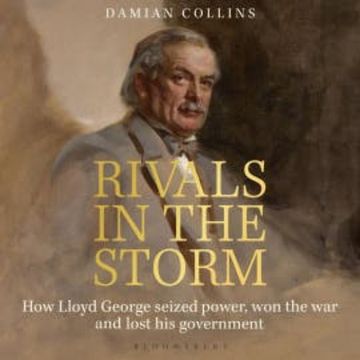 Rivals in the Storm audiobook, Damian Collins