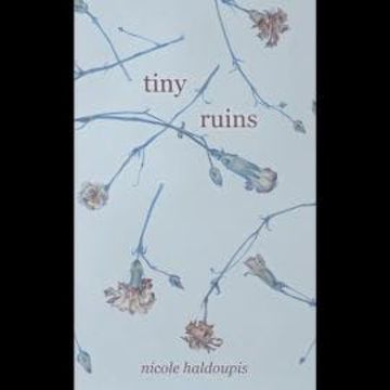 Tiny Ruins (Unabridged) audiobook, Nicole Haldoupis