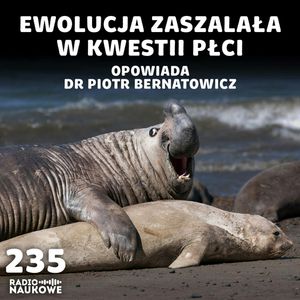 #235 Płeć a ewolucja – biologia nie lubi nudy i prostych podziałów | dr Piotr Bernatowicz, Karolina Głowacka