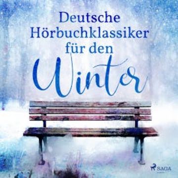 7 deutsche Klassiker für den Winter audiobook, Theodor Storm