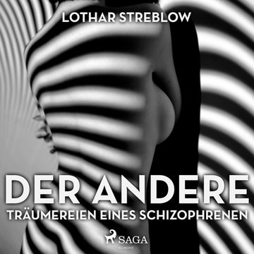 Der Andere - Träumereien eines Schizophrenen audiobook, Lothar Streblow