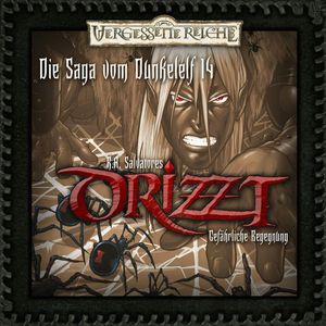 Drizzt - Die Saga vom Dunkelelf 14: Gefährliche Begegnung, Robert A. Salvatore