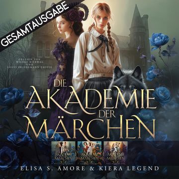 Gesamtausgabe - Die Akademie der Märchen audiobook, Elisa S. Amore