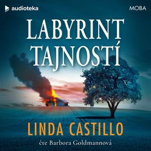 Labyrint tajností, Linda Castillo