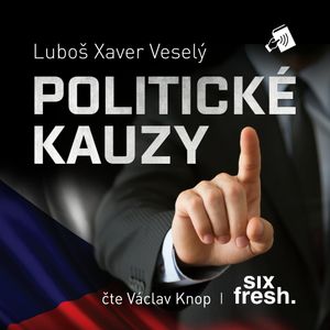 Politické kauzy, Luboš Xaver Veselý