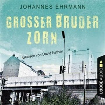 Großer Bruder Zorn audiobook, Johannes Ehrmann