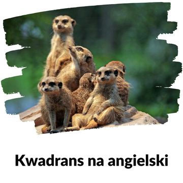 KNA: Lekcja 216 (wizyta w zoo) audiobook, Szymon Marciniak