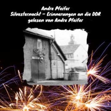 Silvesternacht audiobook, André Pfeifer