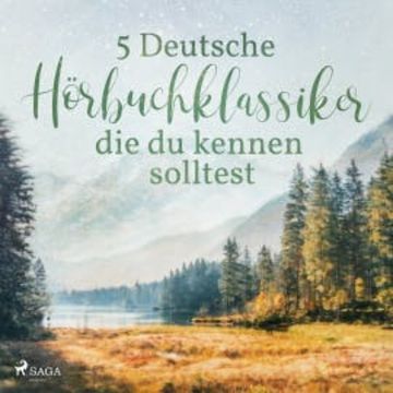 5 Deutsche Hörbuchklassiker, die du kennen solltest audiobook, Theodor Storm