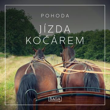 Pohoda - Jízda kočárem audiobook, Rasmus Broe