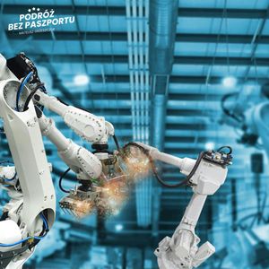 Chiński hegemon robotyzacji: koniec dla europejskich gigantów?, Mateusz Grzeszczuk