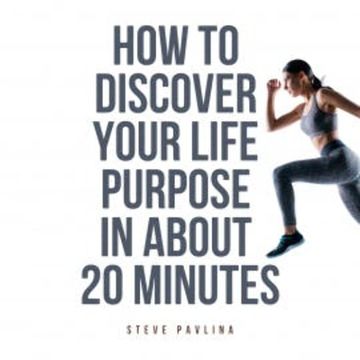 How to Discover Your Life Purpose in About 20 Minutes audiobook, Steve Pavlina