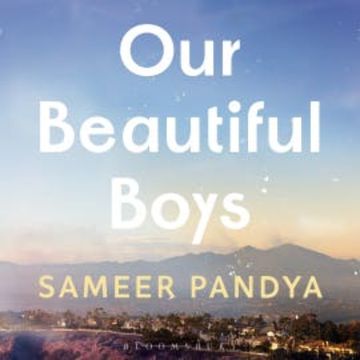 Our Beautiful Boys audiobook, Sameer Pandya