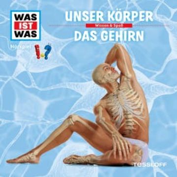 11: Unser Körper / Das Gehirn audiobook, Dr. Manfred Baur