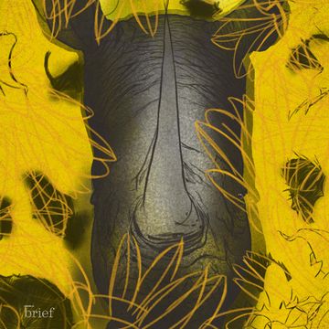 Brief #90 – Zarobki a strefa czasowa, podatek sypialniany i sztuczny liść audiobook, Outride.rs