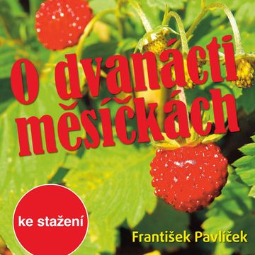 František Pavlíček: O dvanácti měsíčkách audiobook, Božena Němcová, František Pavlíček