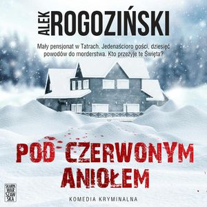 Pod Czerwonym Aniołem, Alek Rogoziński