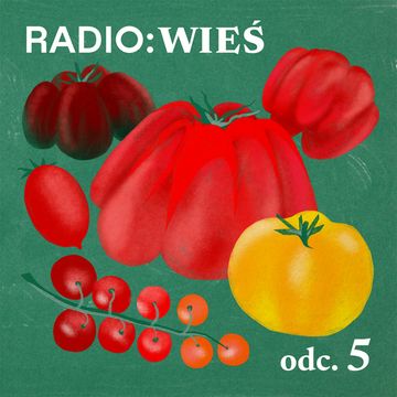 Radio Wieś: Zawrotny sukces pomidora audiobook, OKO.press