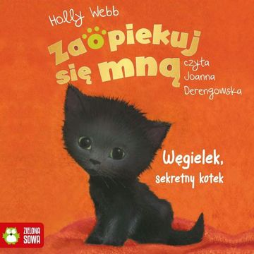 Zaopiekuj się mną. Węgielek, sekretny kotek audiobook, Holly Webb