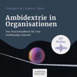 Ambidextrie in Organisationen, Christoph Frey