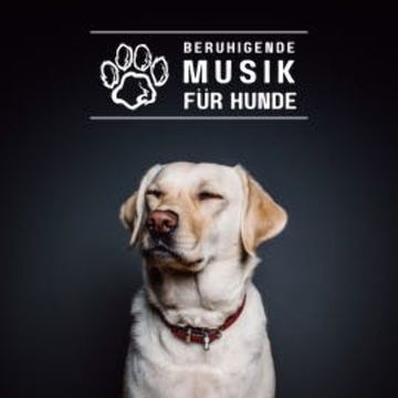 Beruhigende Musik für Hunde audiobook, World Of Dogs