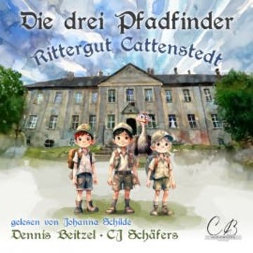 Die drei Pfadfinder audiobook, Dennis Beitzel