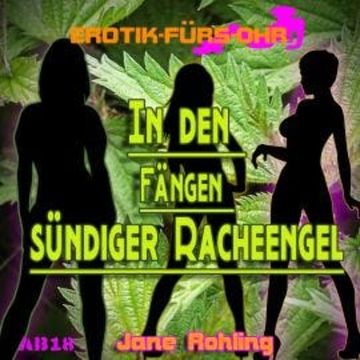 Erotik für's Ohr, In den Fängen sündiger Racheengel audiobook, Jane Rohling