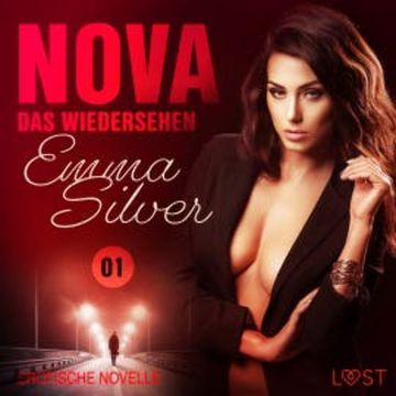 Nova 1 - Das Wiedersehen: Erotische Novelle audiobook, Emma Silver