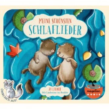Öhrchen auf! Meine schönsten Schlaflieder audiobook, Rainer Bielfeldt