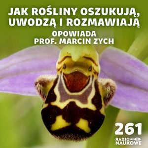 Tajemniczy język roślin – jak natura nauczyła się mówić bez słów | prof. Marcin Zych, Karolina Głowacka