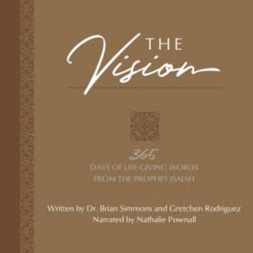 The Vision audiobook, Brian Simmons
