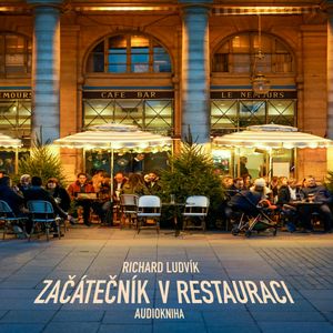 Začátečník v restauraci, Richard Ludvík
