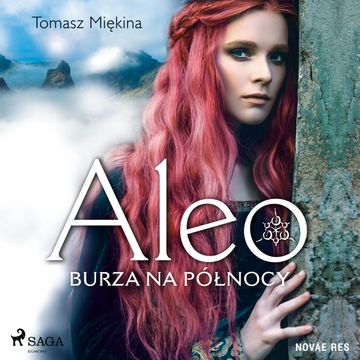 Aleo. Burza na północy audiobook, Tomasz Miękina