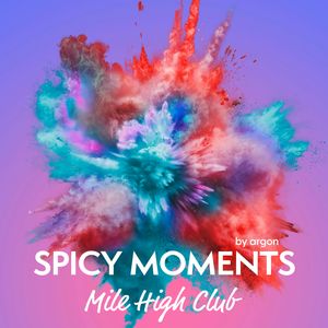 Mile High Club - Erotische Geschichte - spicy moments, Band 25 (Ungekürzte Lesung), spicy moments by argon