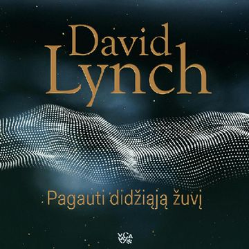 PAGAUTI DIDŽIĄJĄ ŽUVĮ. Meditacija, sąmonė, kūrybingumas audiobook, David Lynch