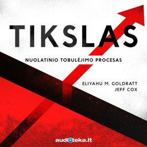 TIKSLAS. Nuolatinio tobulėjimo procesas, Eliyahu M. Goldratt, Jeff Cox