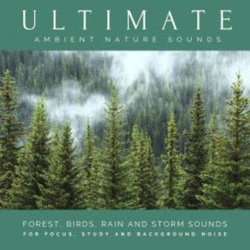 Ultimate Ambient Nature Sounds (XXL Bundle) audiobook, Nature Sounds Therapy