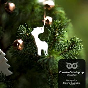 [15] Czy choinki opowiadają historie?, Daniel Mróz
