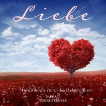 Liebe - Wie du ihr die Tür in dein Leben öffnest audiobook, Raphael Kleine-Termeer