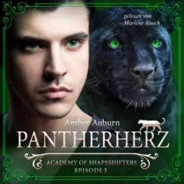 Pantherherz, Episode 3 - Fantasy-Serie audiobook, Amber Auburn