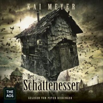 Der Schattenesser audiobook, Kai Meyer