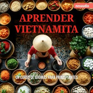 Aprender vietnamita, NeoAudio