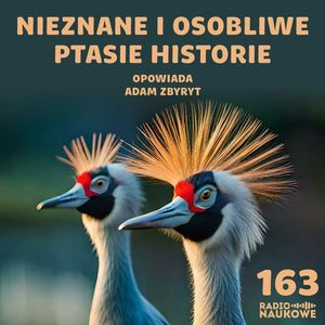 #163 Ptaki inaczej - czym się narkotyzują i czyjego moczu się boją? | Adam Zbyryt, Karolina Głowacka