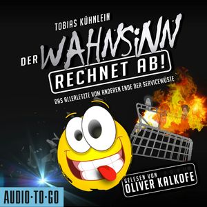 Der Wahnsinn rechnet ab! - Die Wahnsinn-Reihe - Das Allerletzte vom anderen Ende der Servicewüste, Band 3 (ungekürzt), Tobias Kühnlein